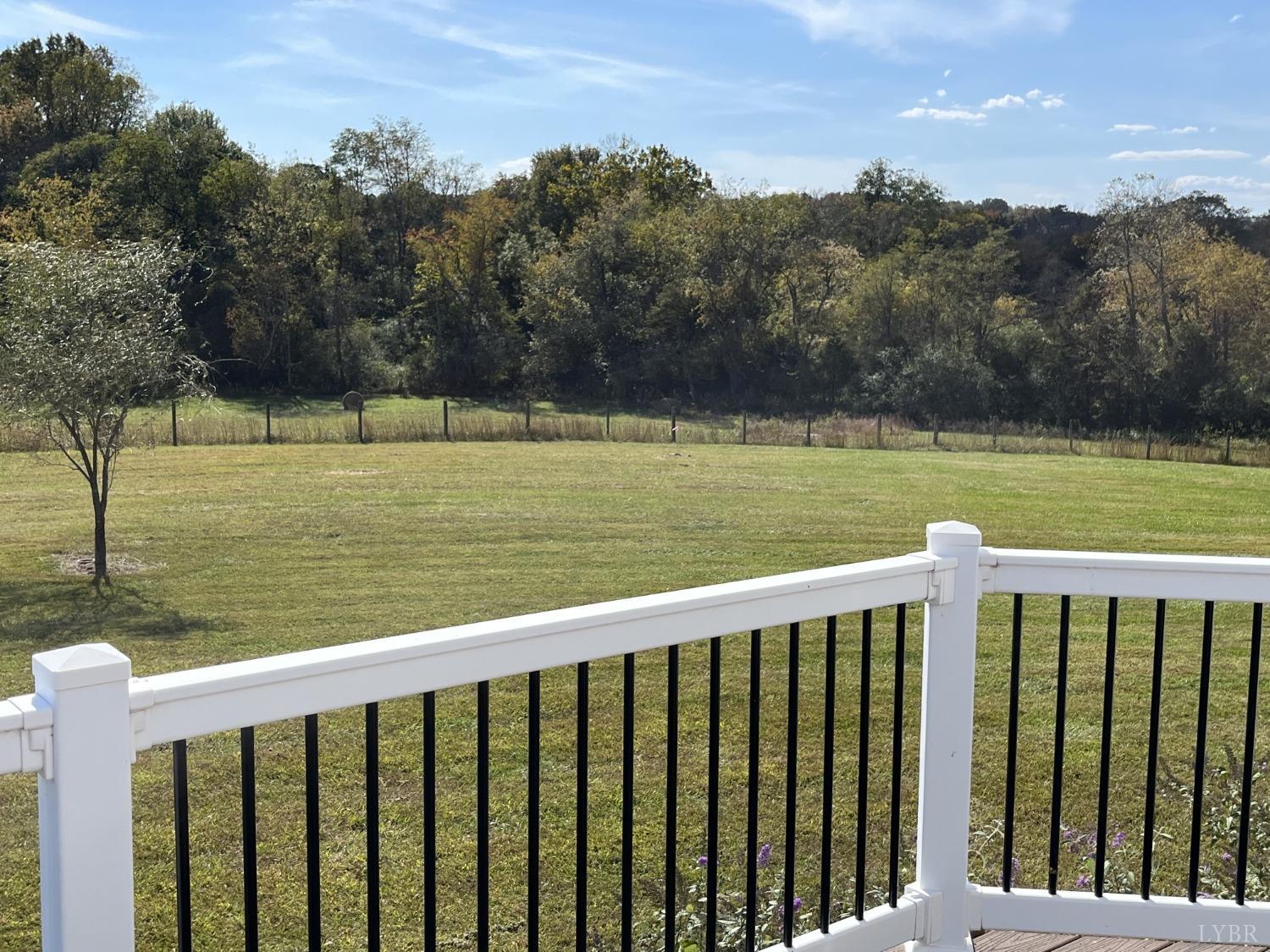 1959 Founding Way Road Goode, VA 24556 - Photo 53 of 65