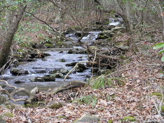 3 Deerhead Road Dunlap, TN 37327 - Photo 11 of 22 a view of a forest with a tree