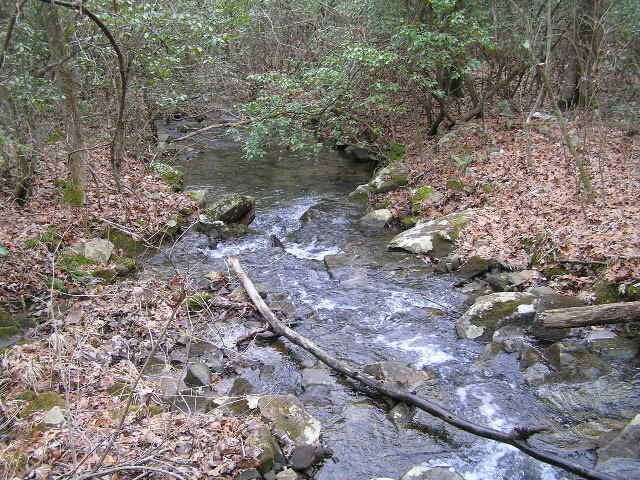 3 Deerhead Road Dunlap, TN 37327 - Photo 12 of 22 a view of a forest with trees