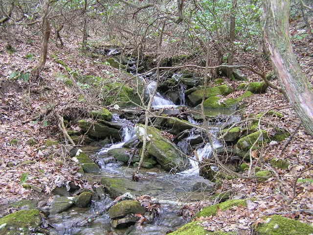 3 Deerhead Road Dunlap, TN 37327 - Photo 13 of 22 a view of outdoor space with garden