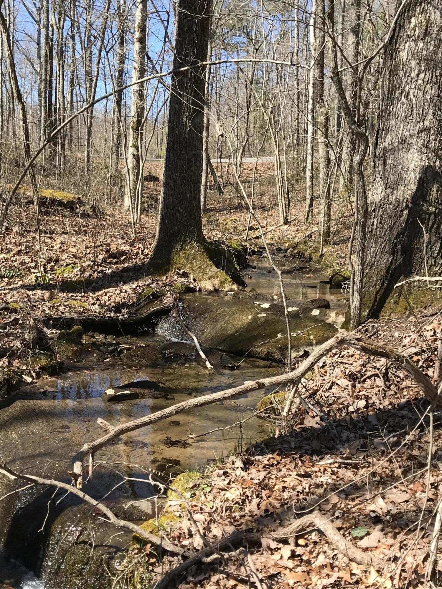 3 Deerhead Road Dunlap, TN 37327 - Photo 15 of 22 a view of a yard