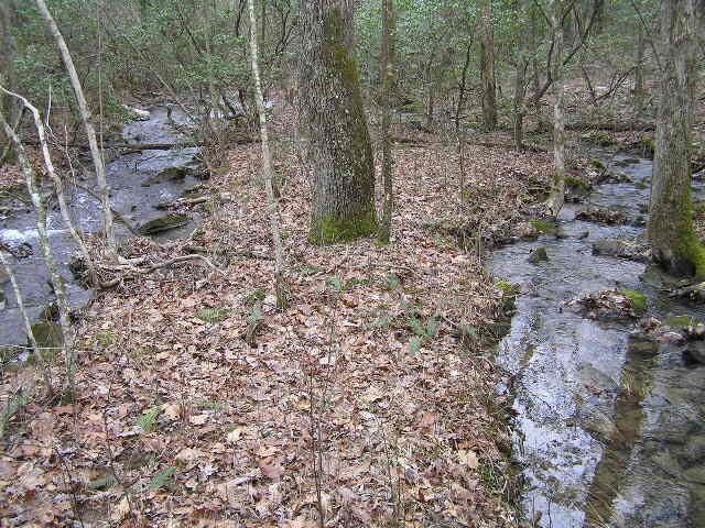 3 Deerhead Road Dunlap, TN 37327 - Photo 16 of 22 a view of a yard