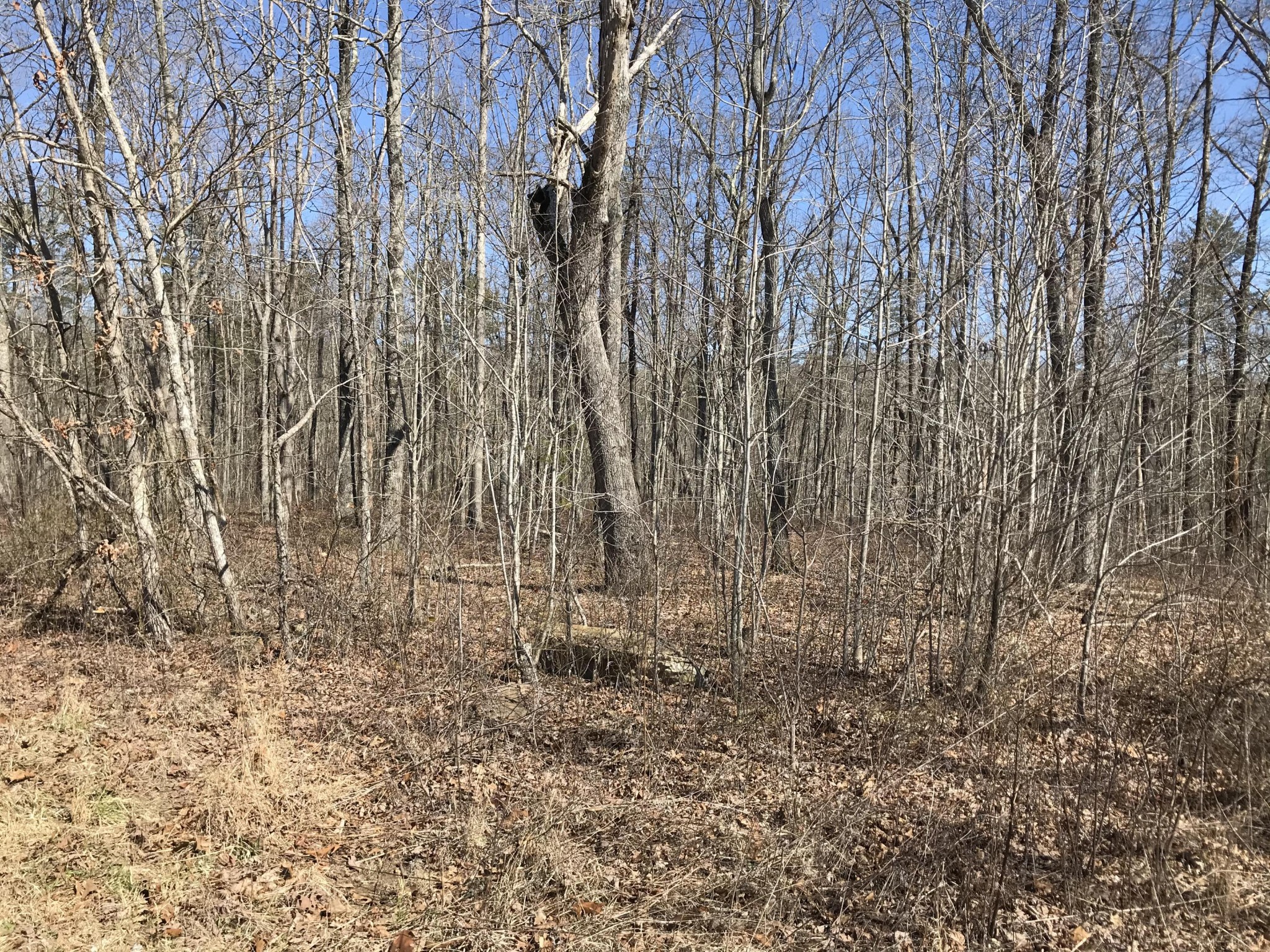 3 Deerhead Road Dunlap, TN 37327 - Photo 2 of 22