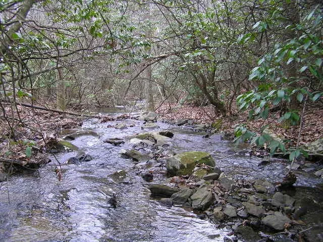 a view of outdoor space with lots of trees