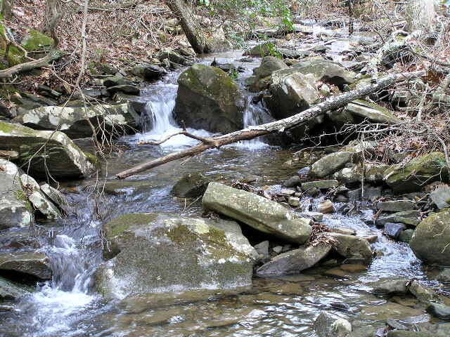 3 Deerhead Road Dunlap, TN 37327 - Photo 10 of 22 a view of a forest