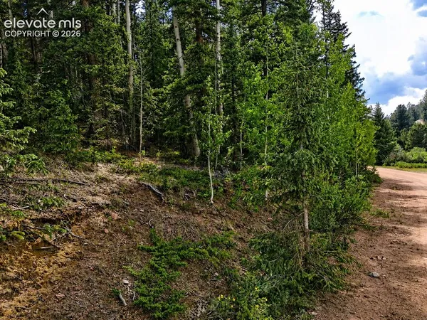 $15,000 | 2462 Anges Drive, Cripple Creek, CO 80813