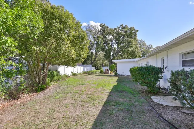 a view of a yard with plants and a large tree