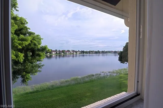 a view of a lake with a city view