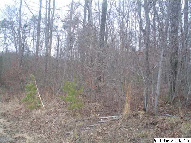 Posey Road, Unit 2 6 Arab, AL 35016 - Photo 2 of 7 Gallery Image 2
