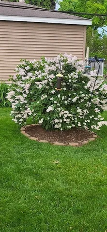 $317,000 | 804 Elm Street, Maple Park, IL 60151