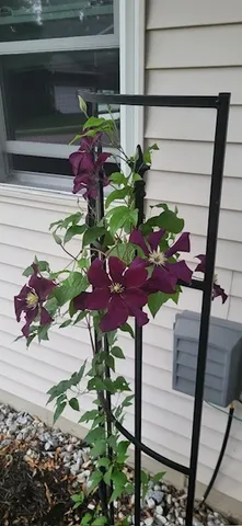 $317,000 | 804 Elm Street, Maple Park, IL 60151