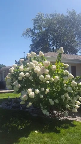 $317,000 | 804 Elm Street, Maple Park, IL 60151