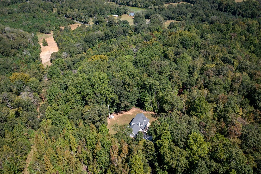 291 Hickory Road Williamston, SC 29697 - Photo 45 of 50