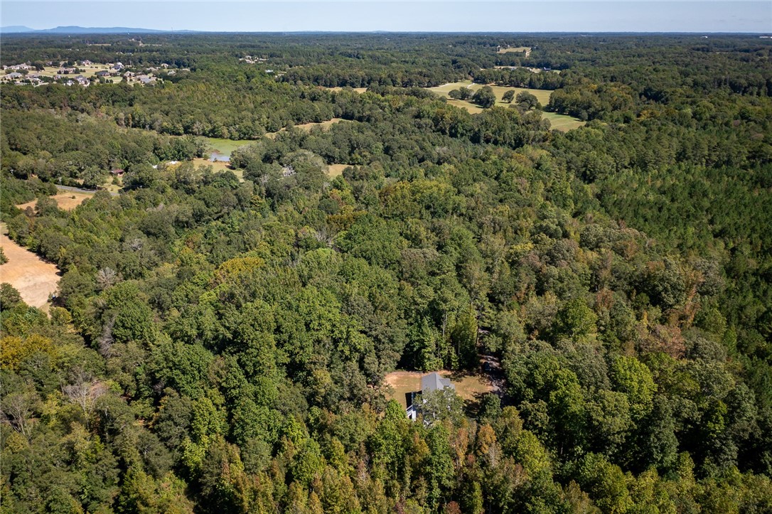 291 Hickory Road Williamston, SC 29697 - Photo 47 of 50