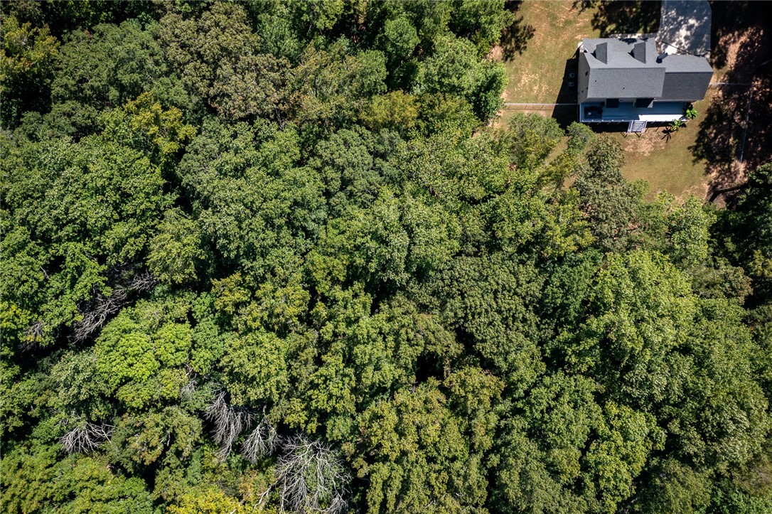 291 Hickory Road Williamston, SC 29697 - Photo 49 of 50