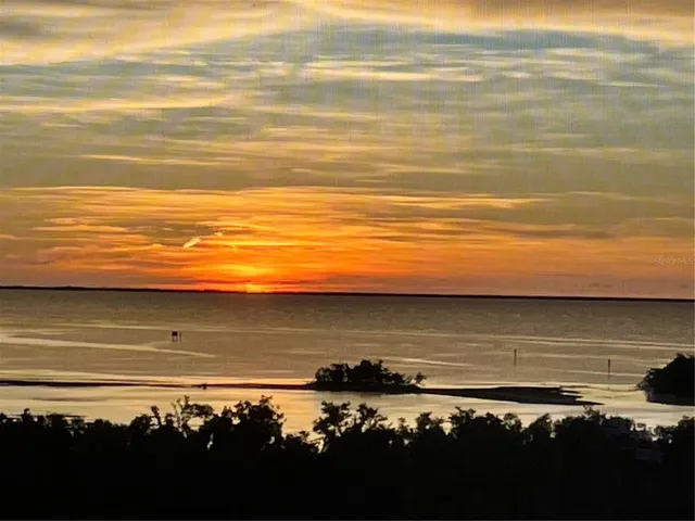 an aerial view of a house with a yard and lake view in back