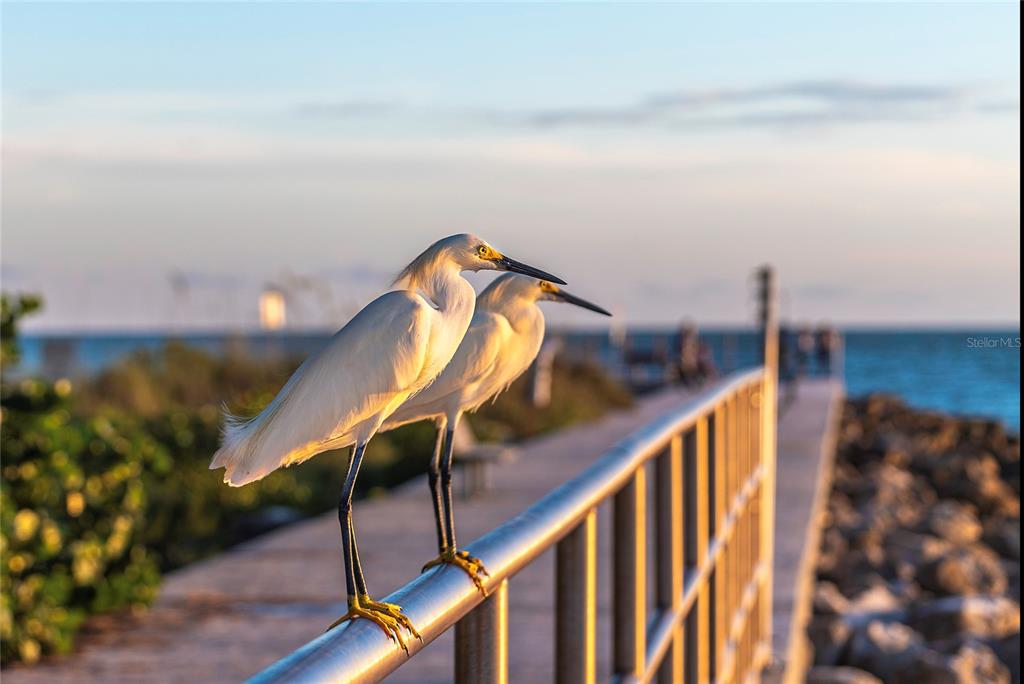 13440 1st Street East Madeira Beach, FL 33708 - Photo 42 of 44