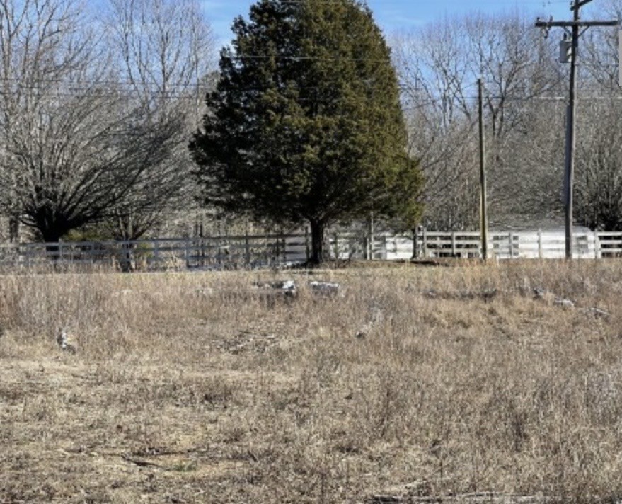 2725 Agnew Road Pulaski, TN 38478 - Photo 20 of 26