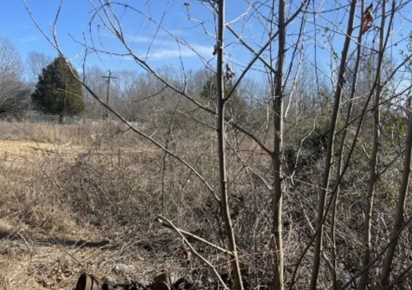 $65,000 | 2725 Agnew Road, Pulaski, TN 38478