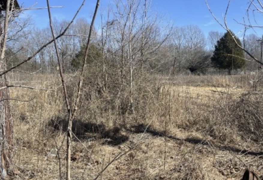 2725 Agnew Road Pulaski, TN 38478 - Photo 25 of 26