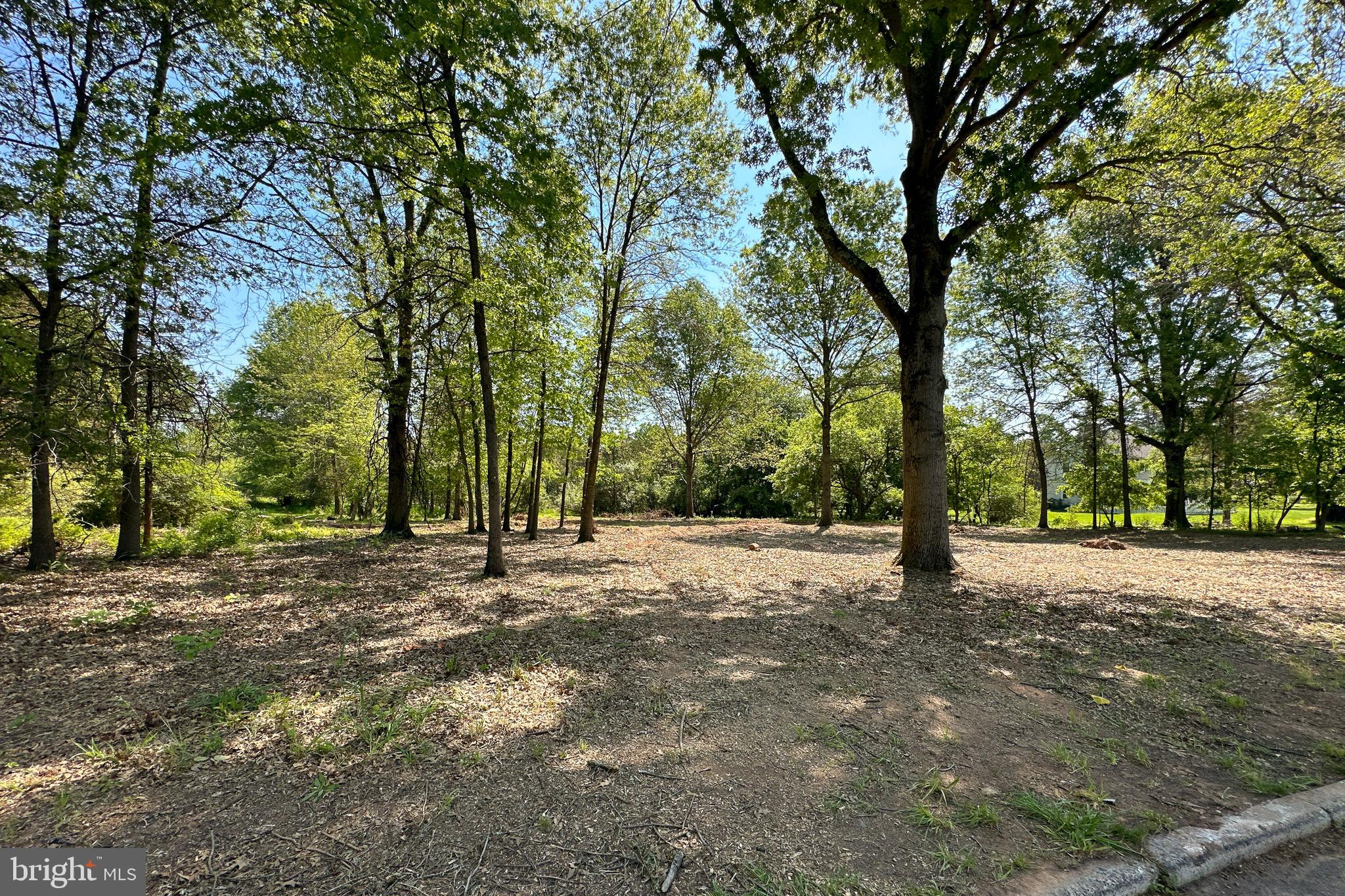 7 Blue Spruce Drive Princeton, NJ 08540 - Photo 6 of 12