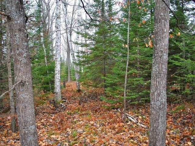 On On Echo Ridge Drive, Unit LOT 3 Eagle River, WI 54521 - Photo 4 of 5 Gallery Image 4