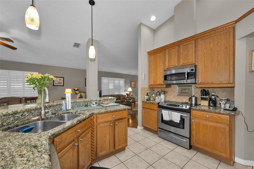 9630 Green Needle Drive New Port Richey, FL 34655 - Photo 19 of 83