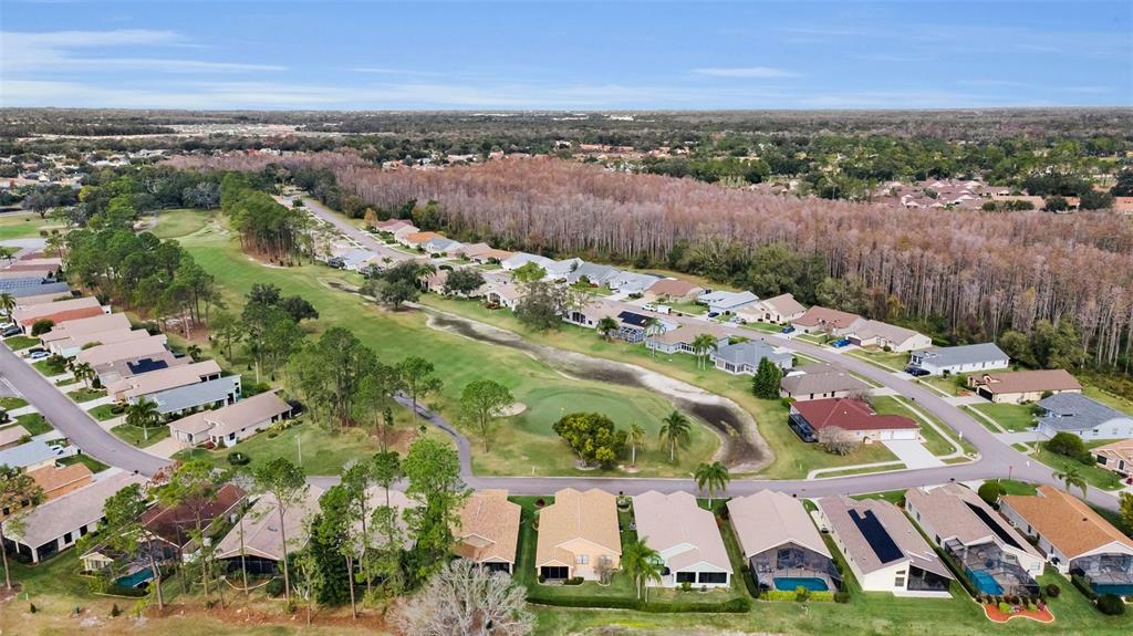 9630 Green Needle Drive New Port Richey, FL 34655 - Photo 43 of 83