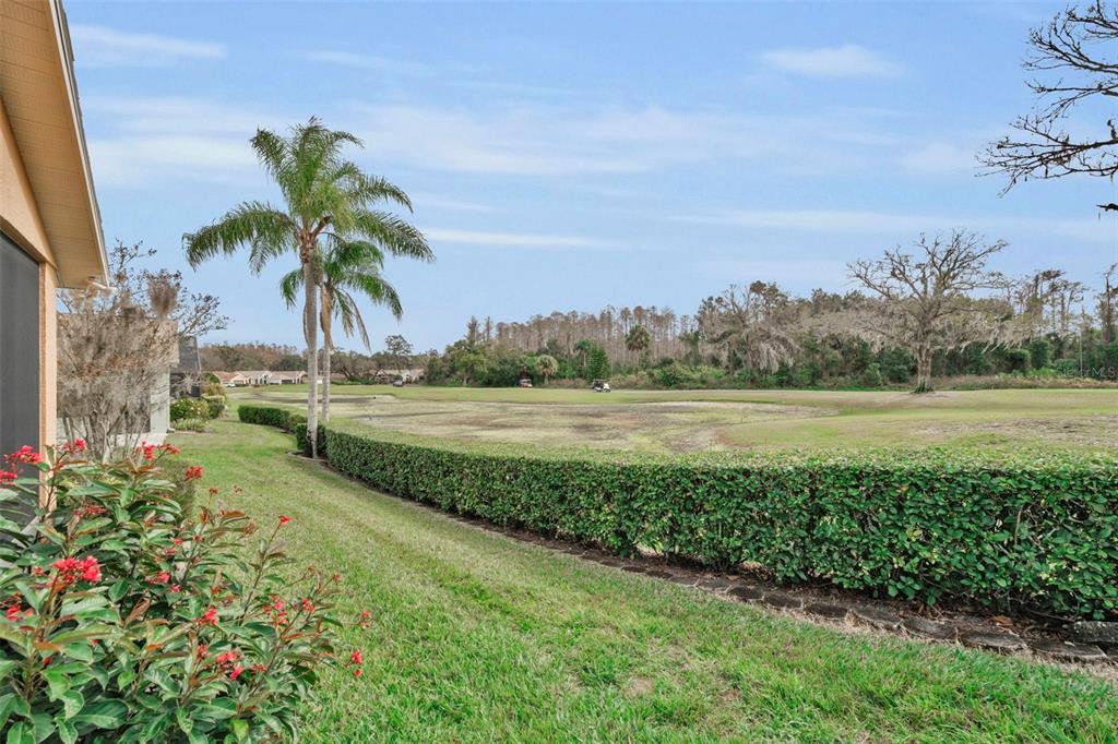 9630 Green Needle Drive New Port Richey, FL 34655 - Photo 44 of 83