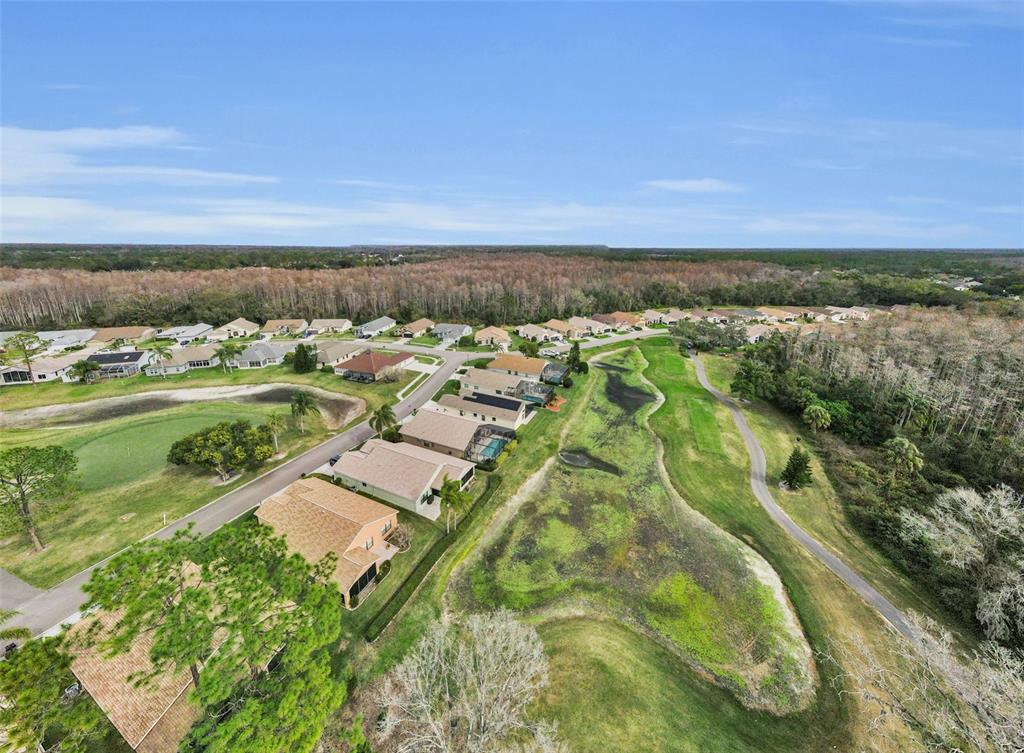 9630 Green Needle Drive New Port Richey, FL 34655 - Photo 45 of 83