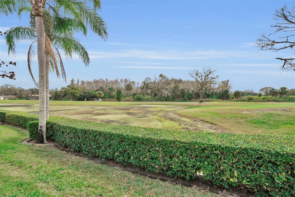 9630 Green Needle Drive New Port Richey, FL 34655 - Photo 46 of 83 a view of a field with grass and a palm tree