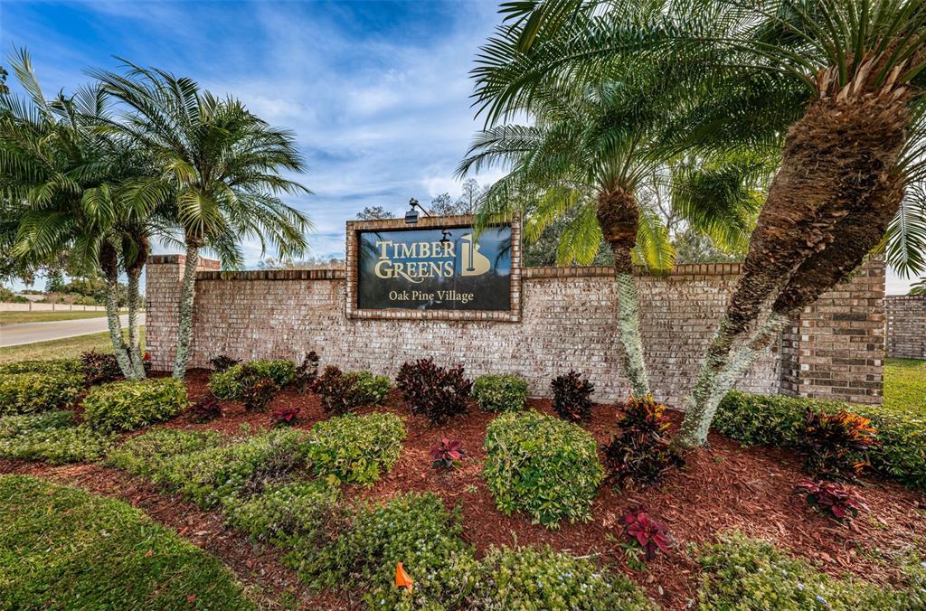 9630 Green Needle Drive New Port Richey, FL 34655 - Photo 49 of 83