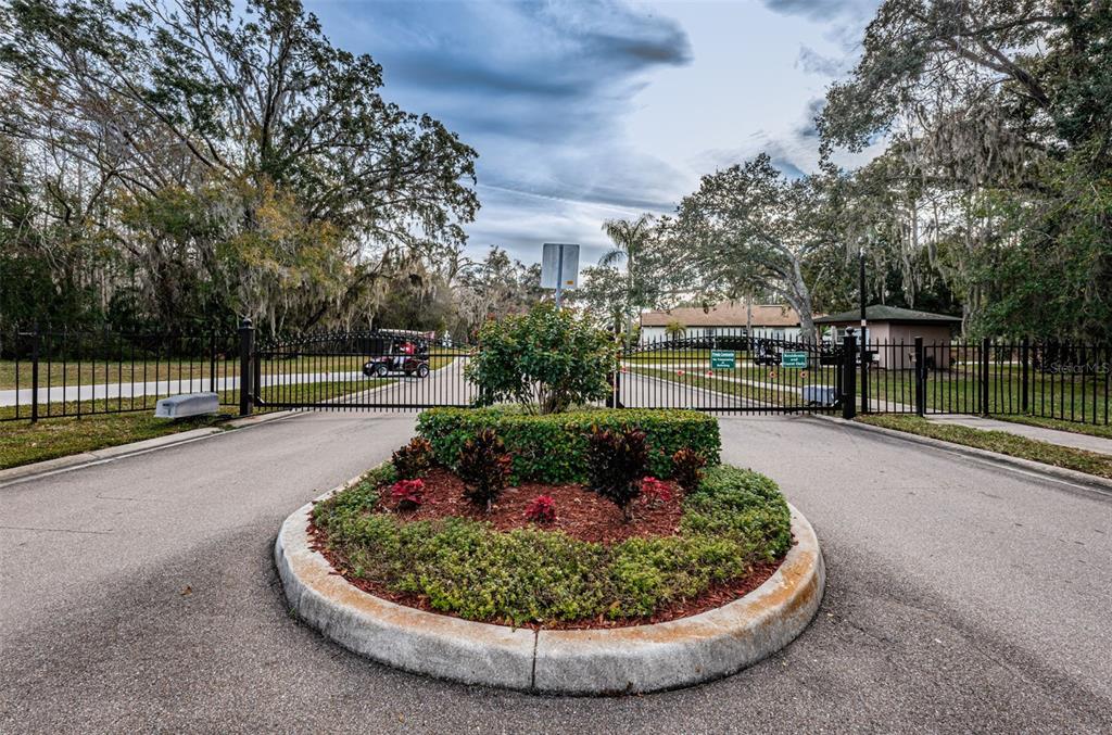 9630 Green Needle Drive New Port Richey, FL 34655 - Photo 52 of 83