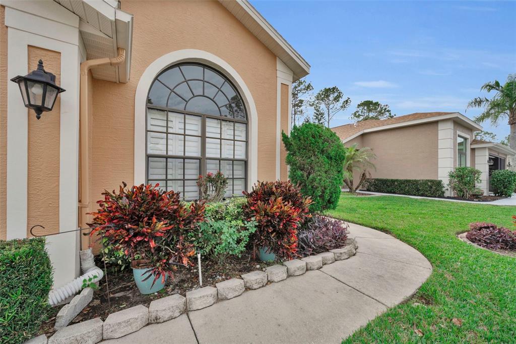 9630 Green Needle Drive New Port Richey, FL 34655 - Photo 6 of 83 a front view of a house with garden
