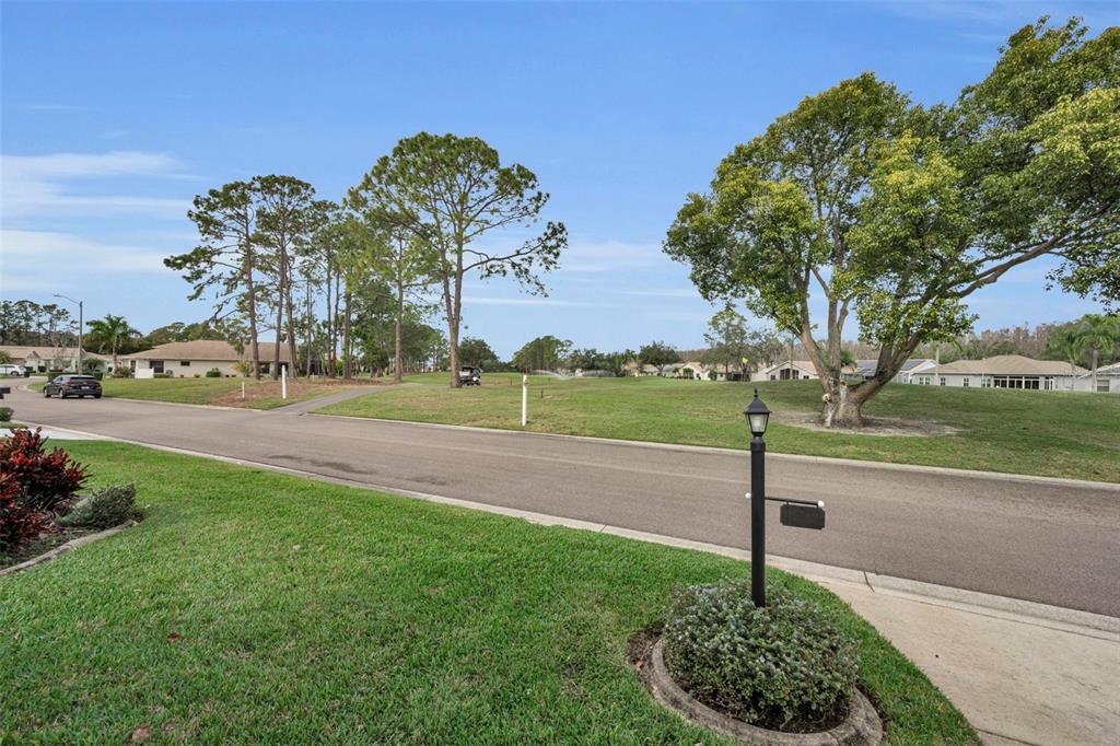 9630 Green Needle Drive New Port Richey, FL 34655 - Photo 7 of 83