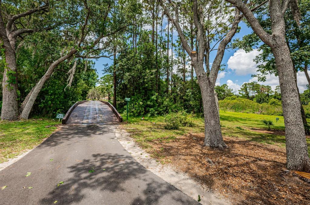 9630 Green Needle Drive New Port Richey, FL 34655 - Photo 77 of 83 a view of a yard with plants and a large tree