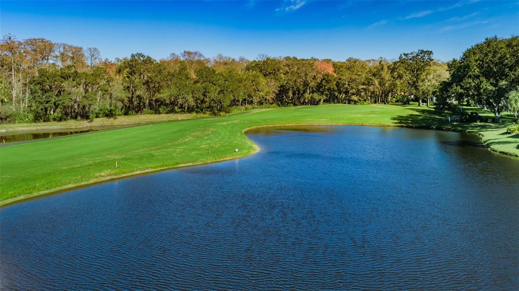 9630 Green Needle Drive New Port Richey, FL 34655 - Photo 80 of 83 a view of a golf course with a lake
