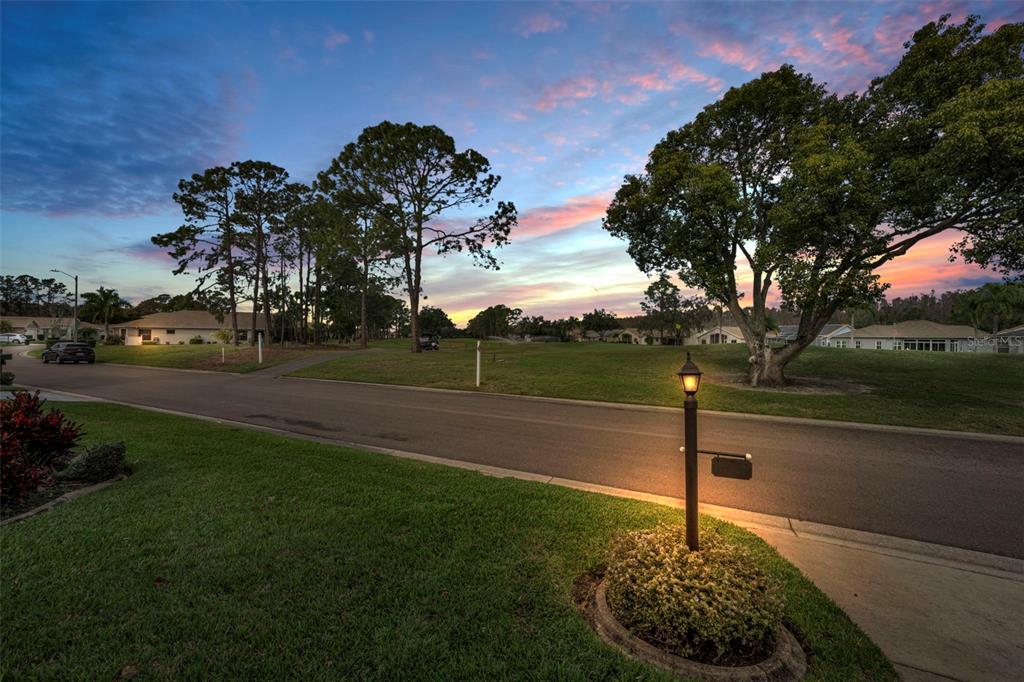 9630 Green Needle Drive New Port Richey, FL 34655 - Photo 83 of 83