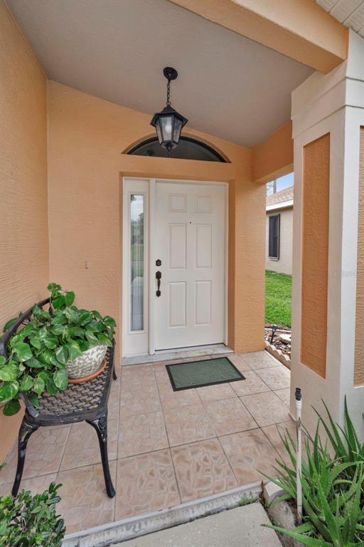 9630 Green Needle Drive New Port Richey, FL 34655 - Photo 9 of 83 a front view of a house with a yard
