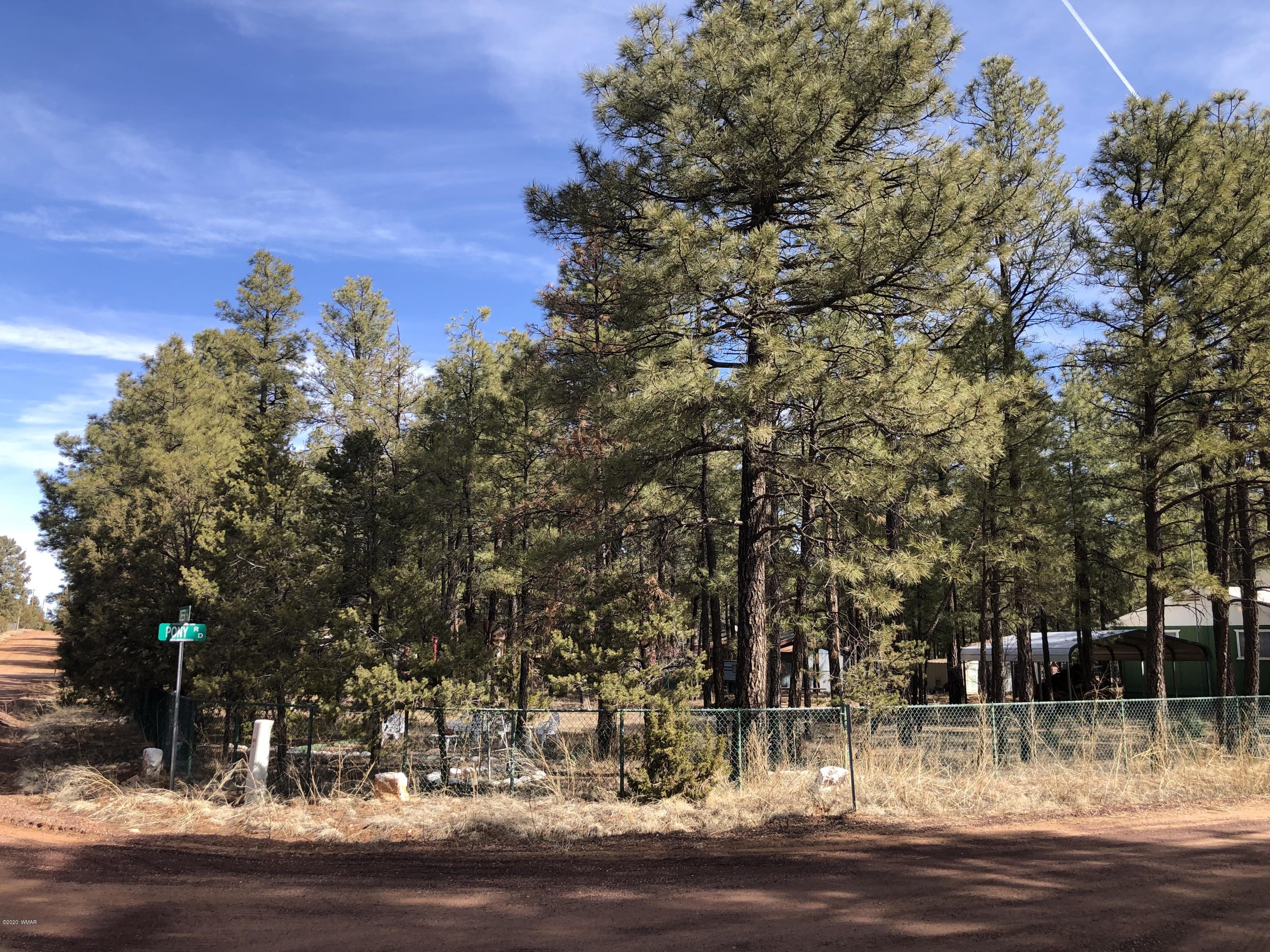 2128 Pony Road Overgaard, AZ 85933 - Photo 3 of 3 a view of a yard in front of the house