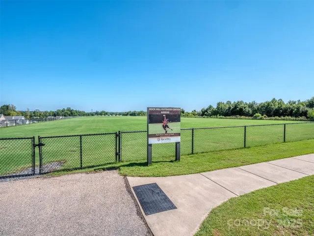 a view of a park with large trees