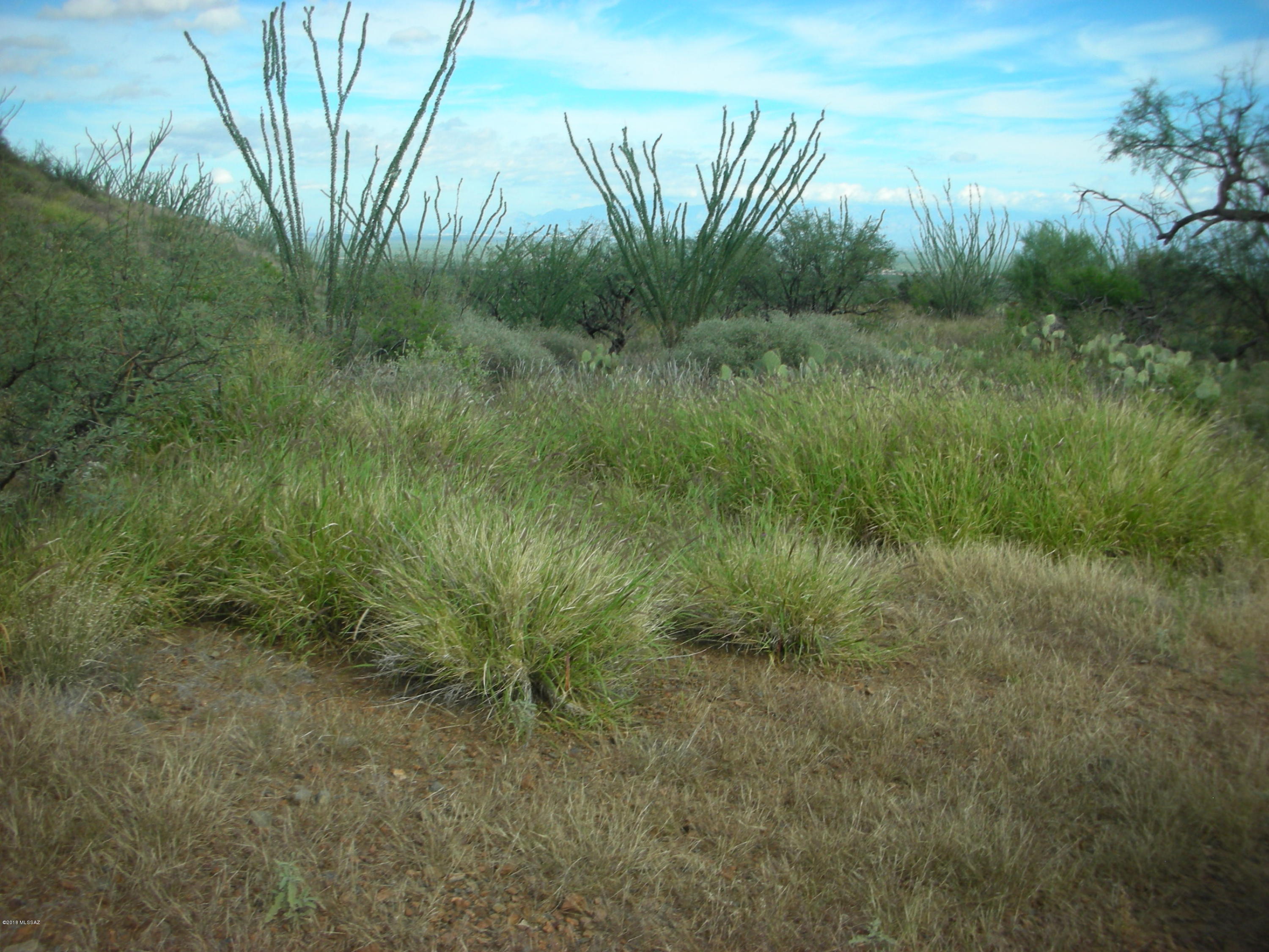 10600 East Ocotillo Rim Trail Vail, AZ 85641 - Photo 20 of 24 Gallery Image 20