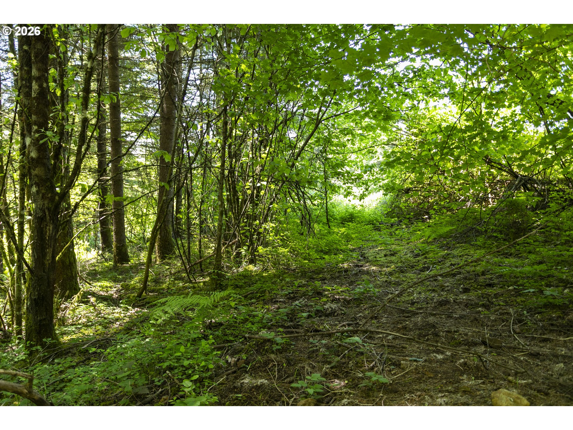 0 Northeast 292nd Court Camas, WA 98607 - Photo 11 of 14