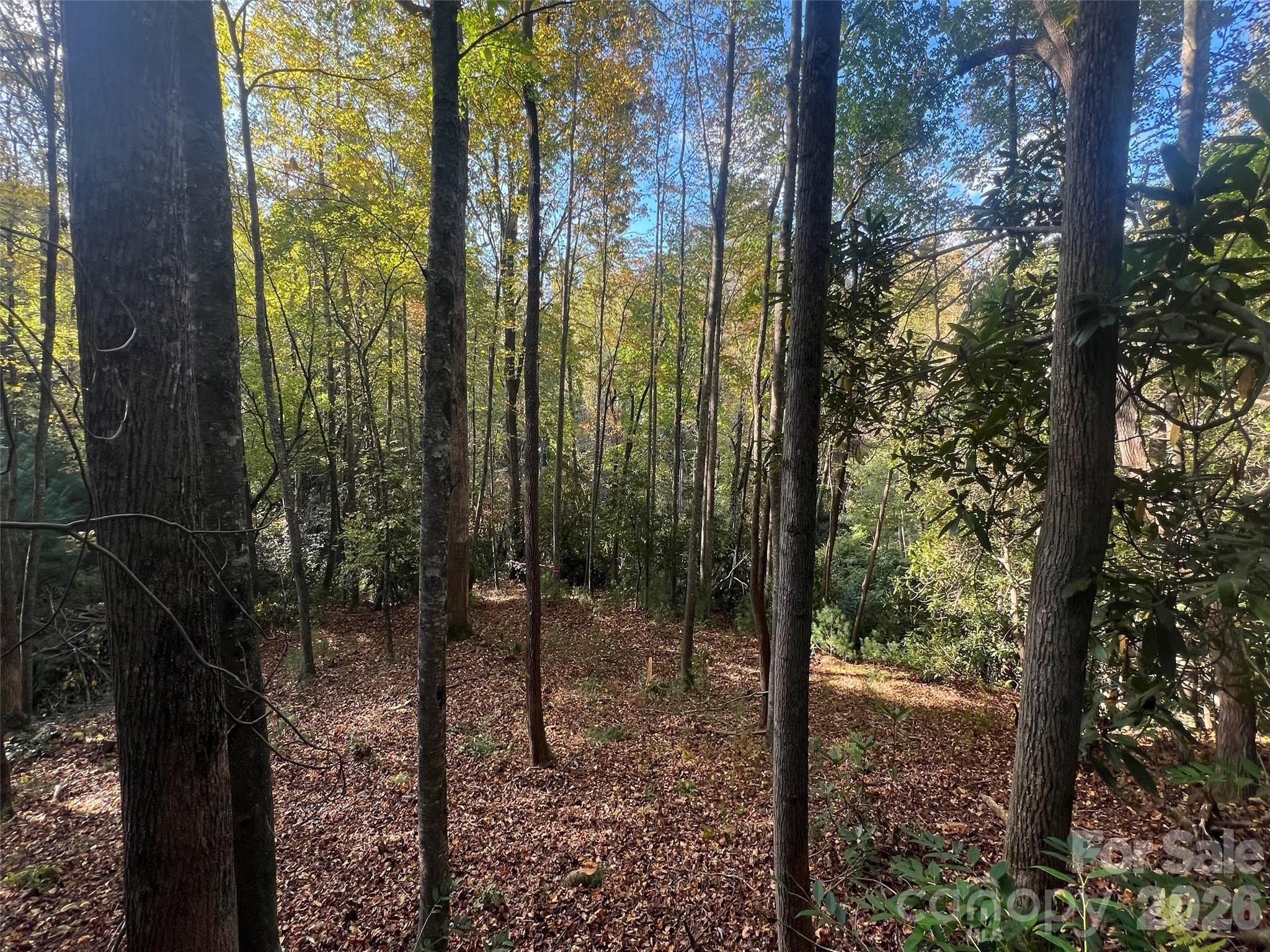 6 Dividing Ridge Trail, Unit 1 Arden, NC 28704 - Photo 3 of 18 a view of a forest
