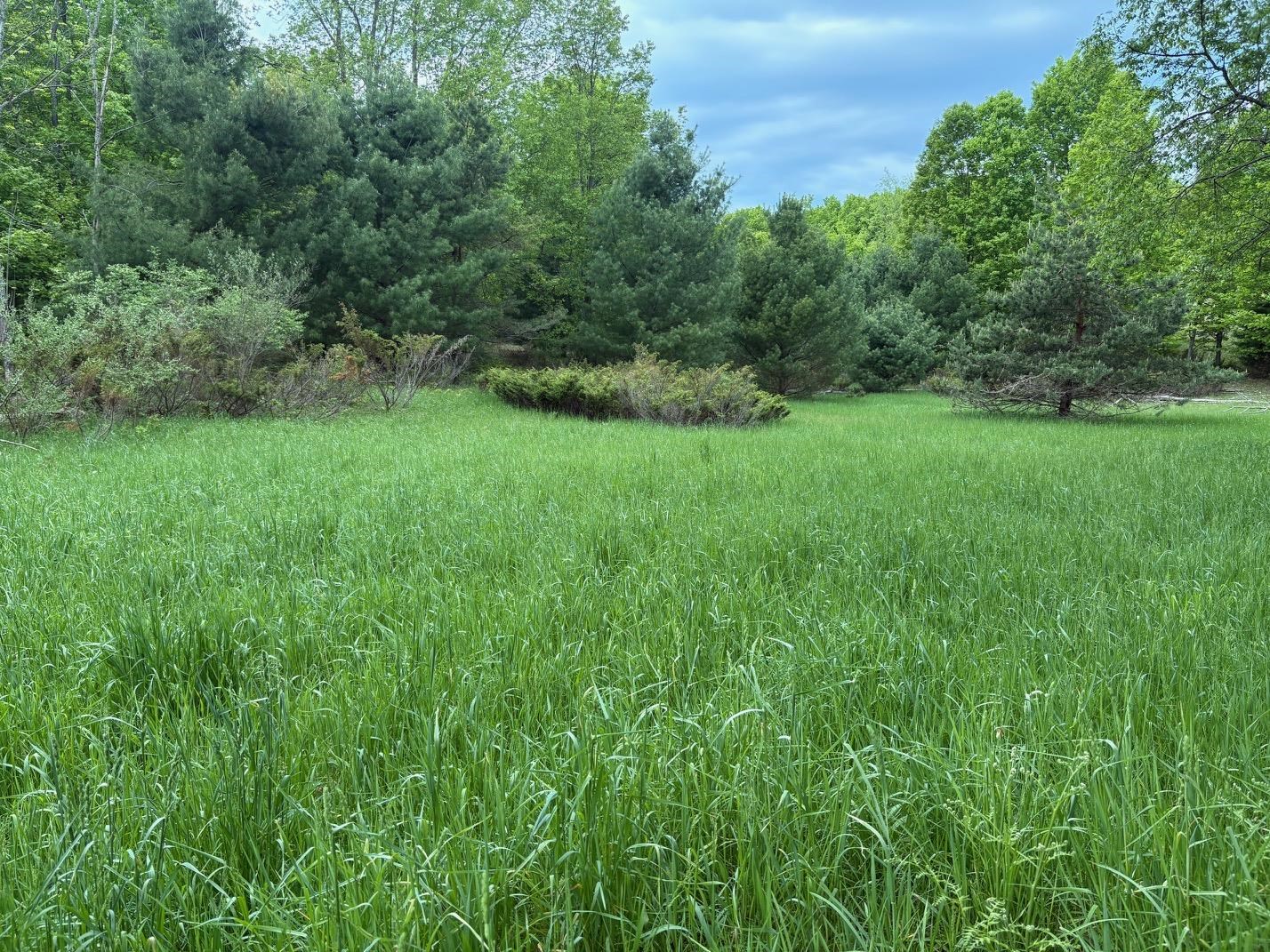 13631 Beaver Pond Road Empire, MI 49630 - Photo 38 of 55