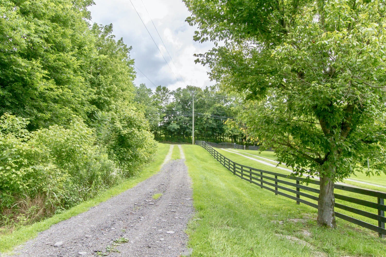 4572 Peytonsville Road Franklin, TN 37064 - Photo 5 of 50 Gallery Image 5