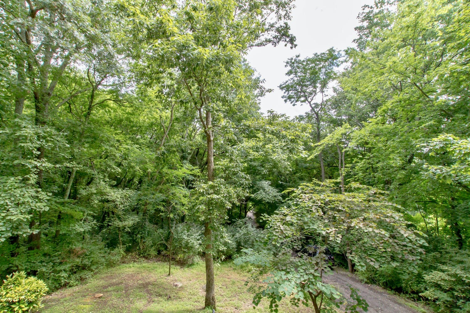 4572 Peytonsville Road Franklin, TN 37064 - Photo 49 of 50 Gallery Image 49