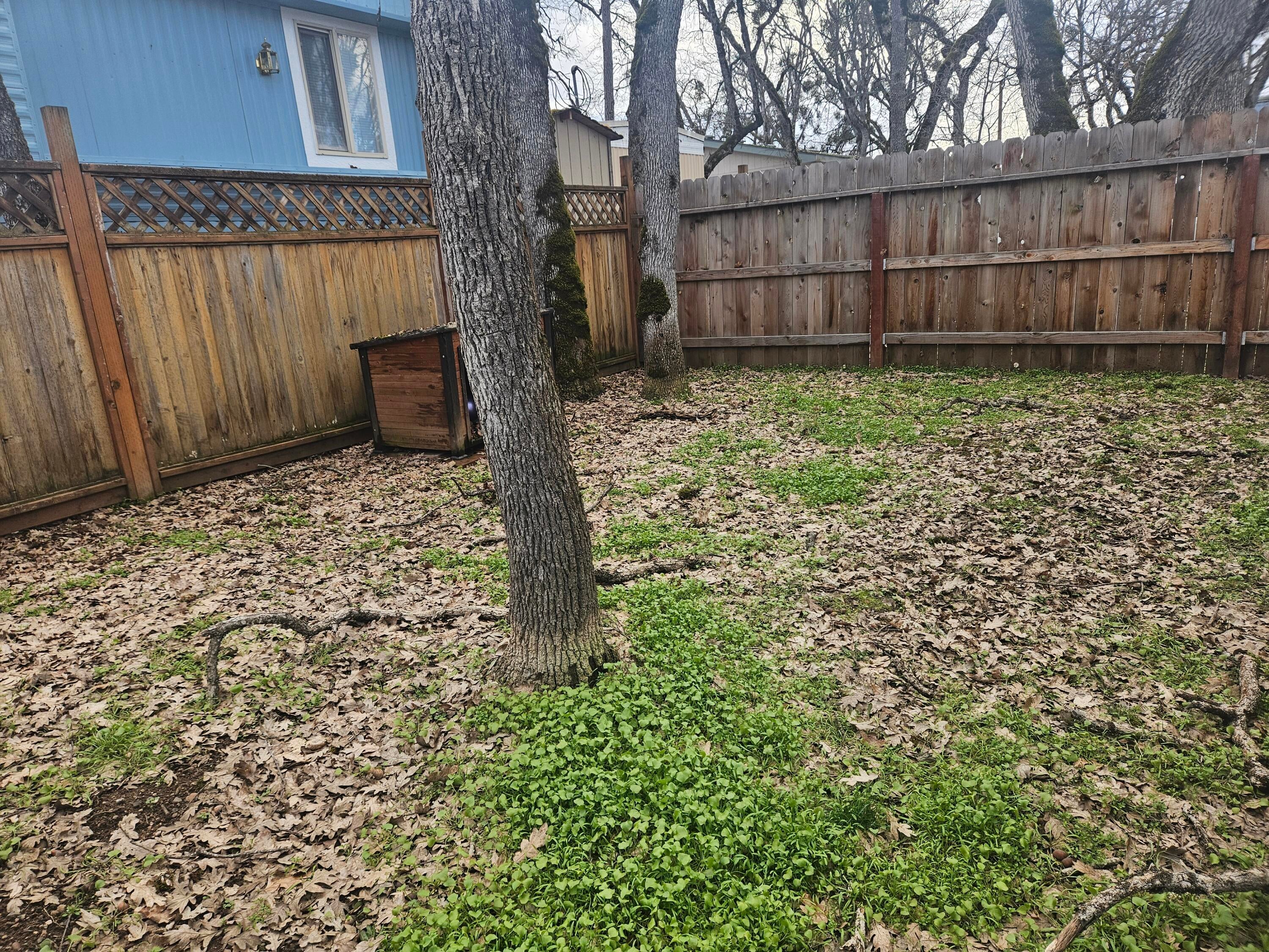 380 West Gregory Road, Unit 9 Central Point, OR 97502 - Photo 18 of 22 20250214_161139 - Copy