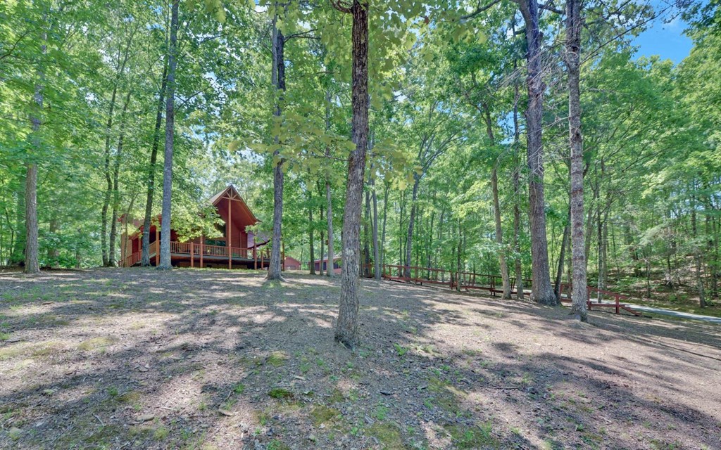 164 Dew Drop Lane Murphy, NC 28906 - Photo 33 of 49