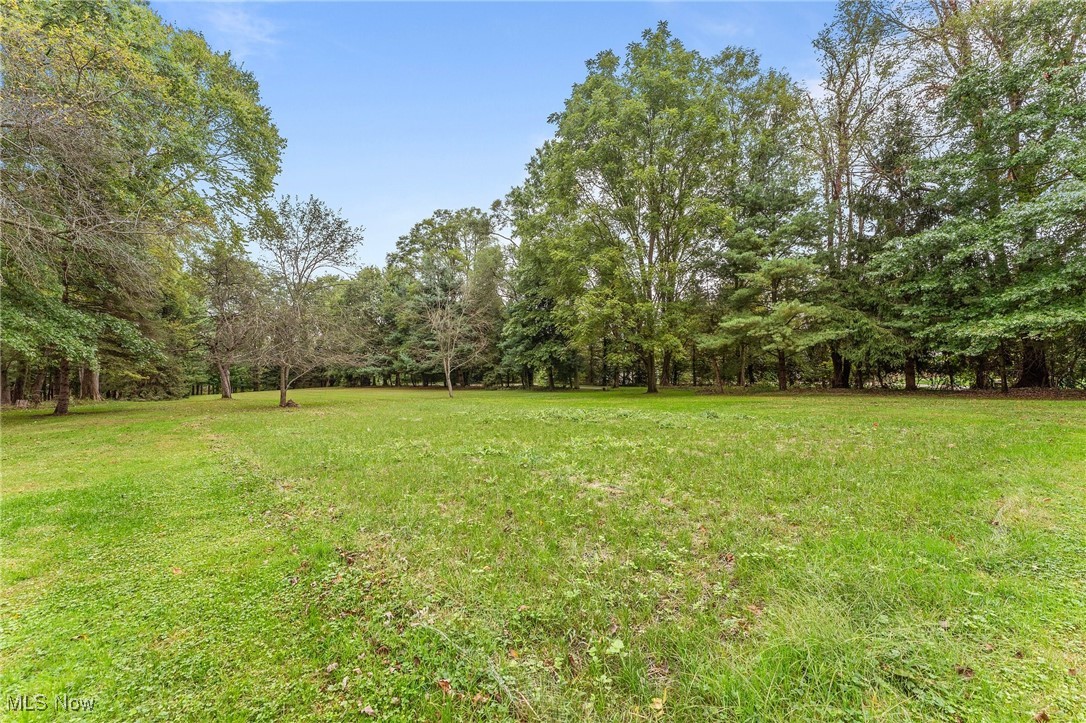 715 Barlow Road Hudson, OH 44236 - Photo 45 of 50 Backyard view.